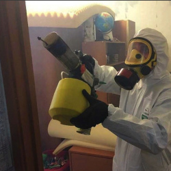 Уничтожение клопов в квартире. Междуреченск